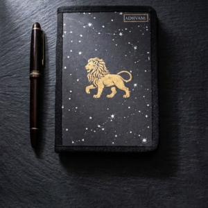 The Stellar Ruler - Leo